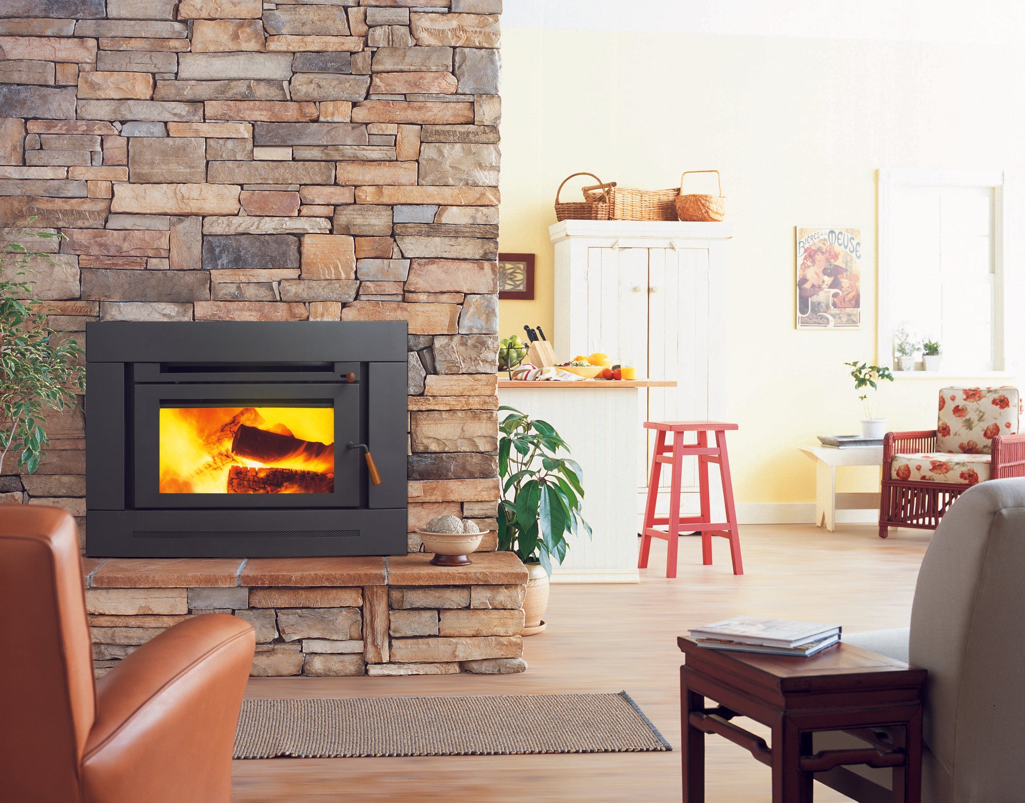 Regency Berwick Inbuilt Wood Heater